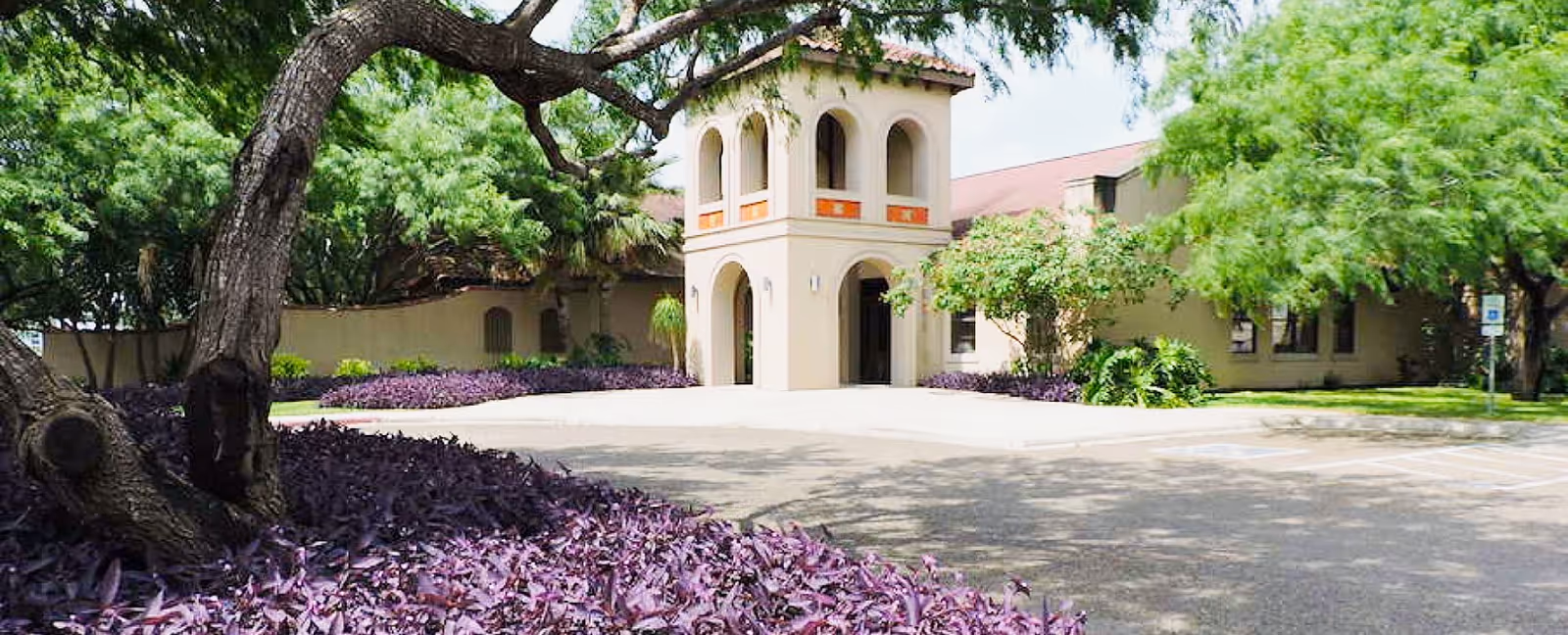 Mediterranean-style building entrance with an arched tower, driveway, trees, and purple groundcover in the foreground.