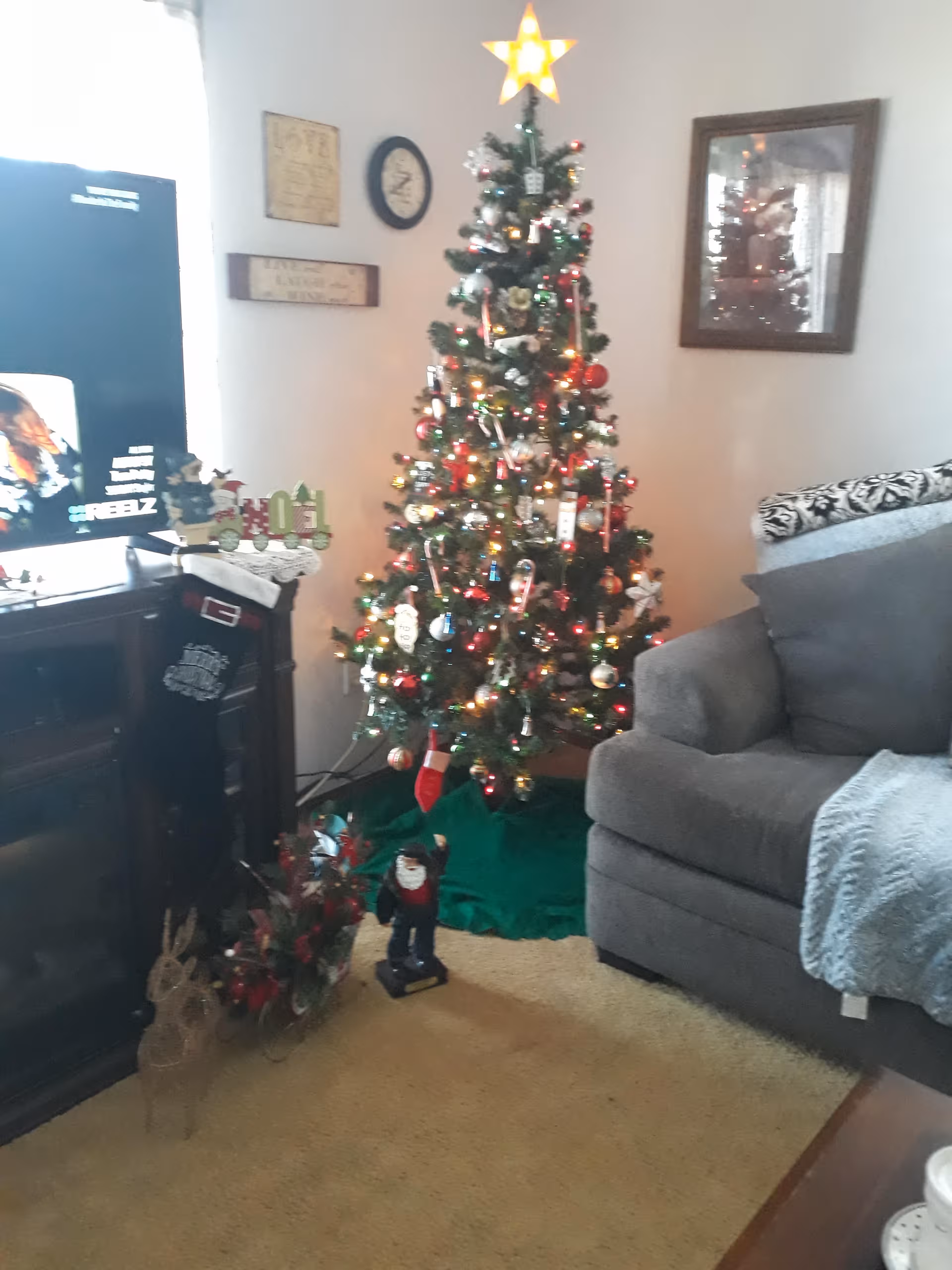 A decorated living room with a Christmas tree, stockings, sofa, and TV in senior living facility.
