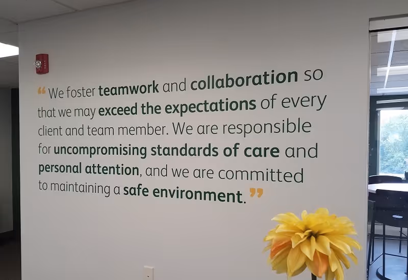 Interior wall with a large motivational quote and a yellow flower in foreground.