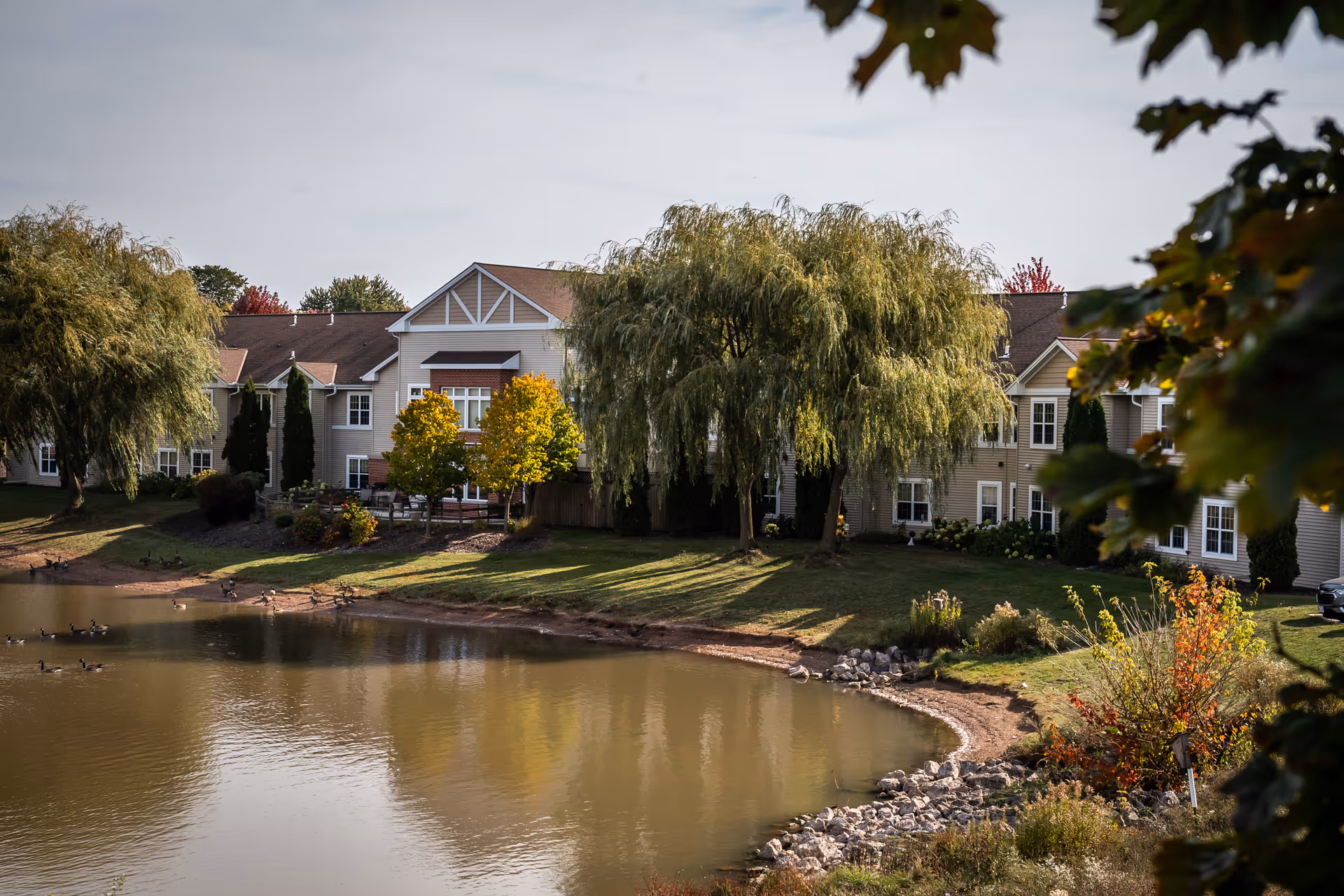 Lakeside view of a multi-story residential building with willow trees, a grassy shore and ducks on a pond.