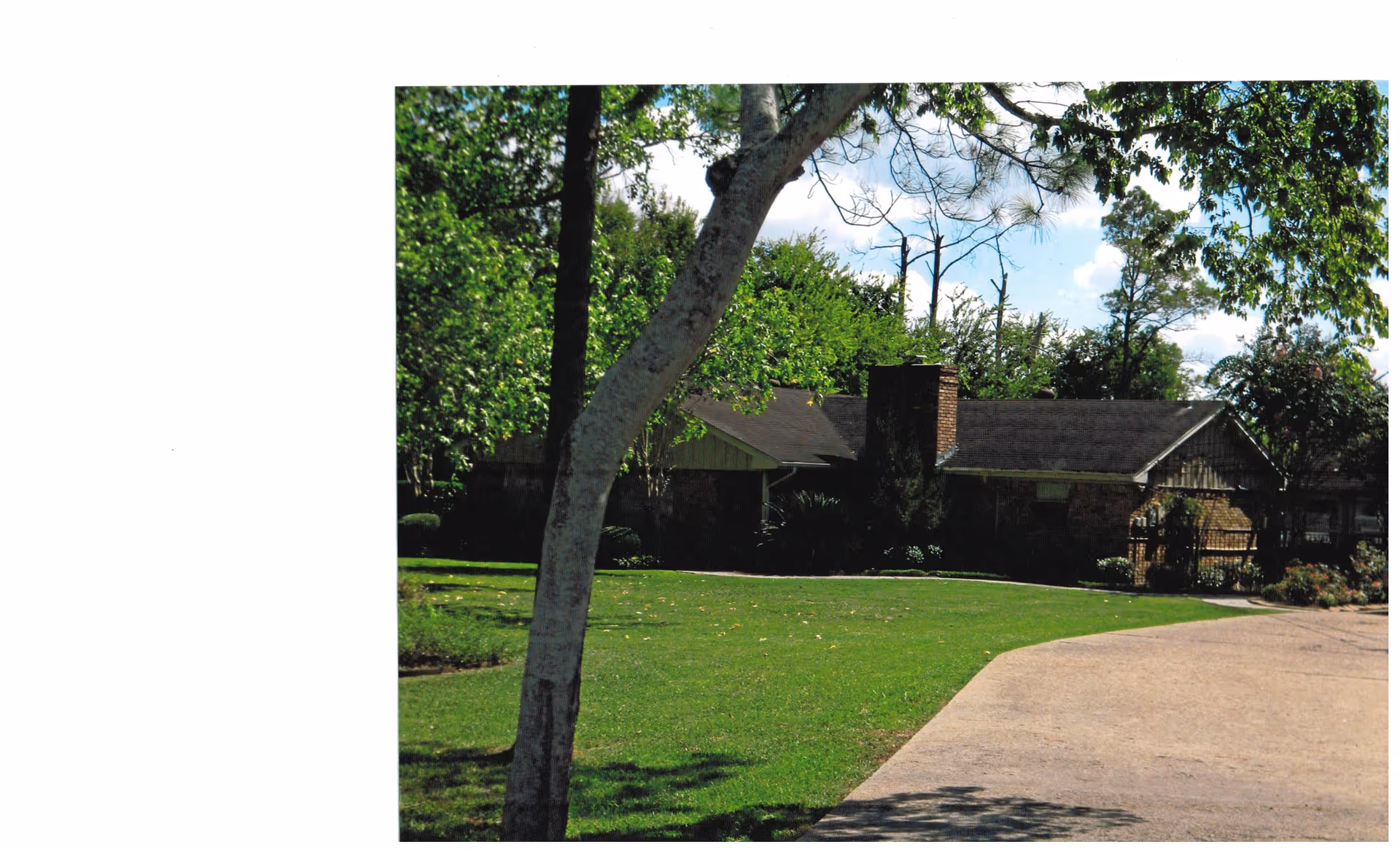 Front view of a single-story building with a curved driveway, green lawn, and trees.