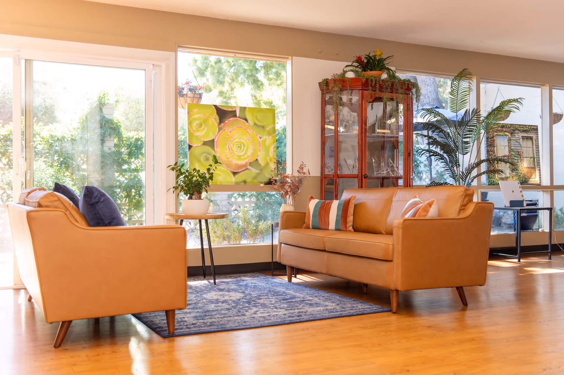 Bright living room with orange leather sofas, greenery, art, and large windows letting in sunlight.