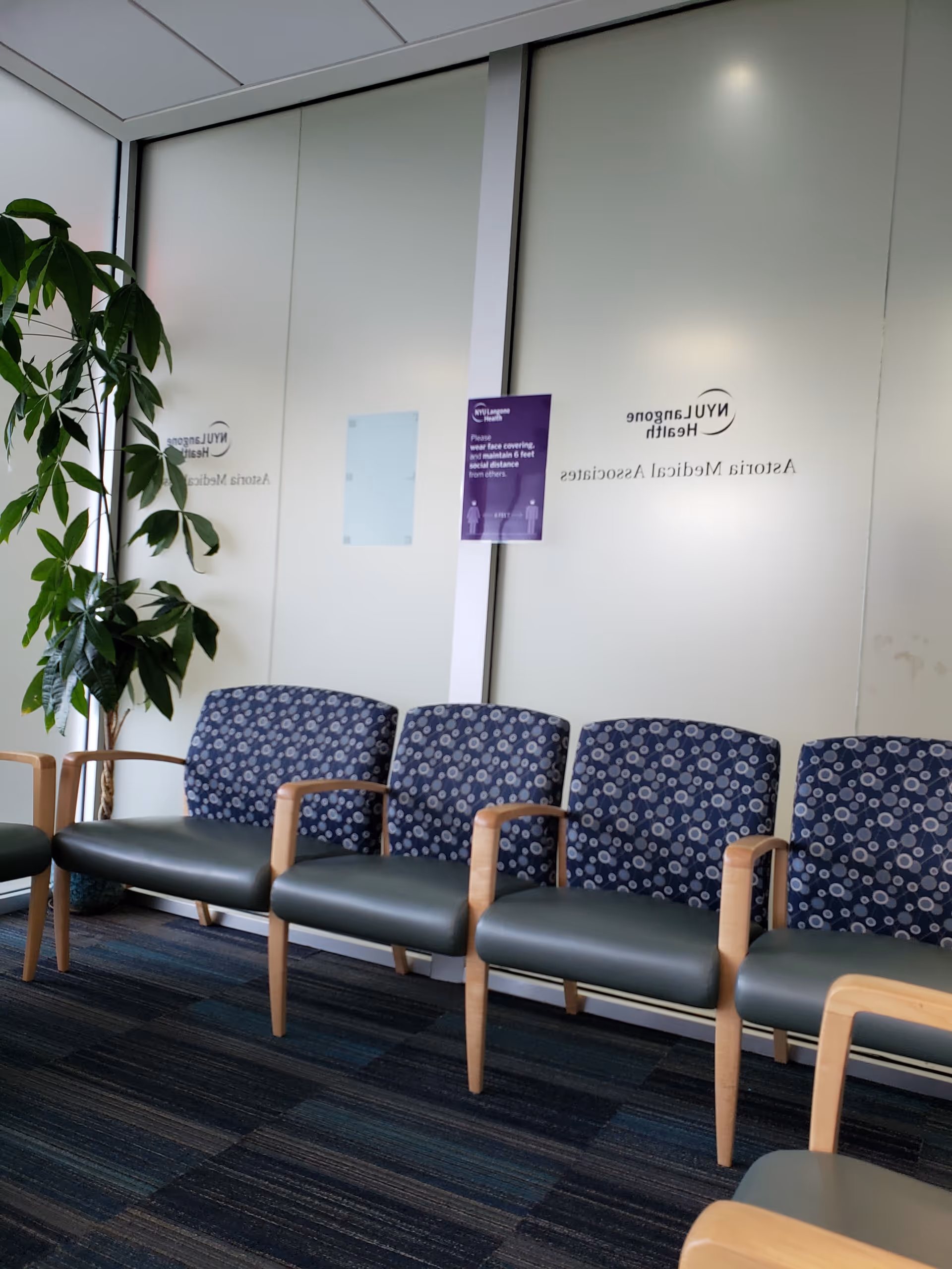 Waiting area with blue patterned chairs, glass walls, and a potted plant.