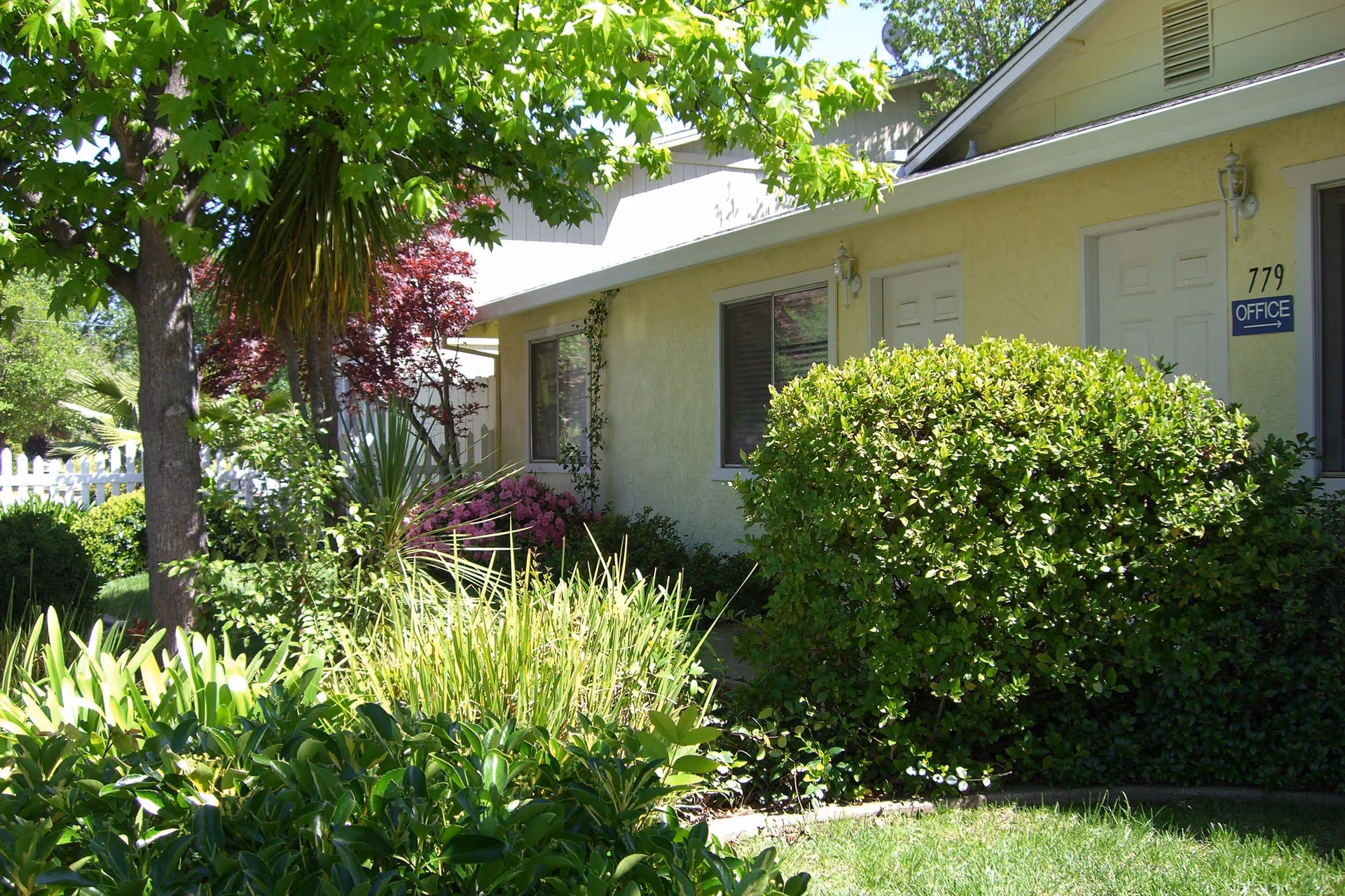 Exterior view of a single-story building with beige walls and white doors, surrounded by lush green bushes, trees, and plants under a sunny sky. A sign next to one door reads '779 OFFICE'.