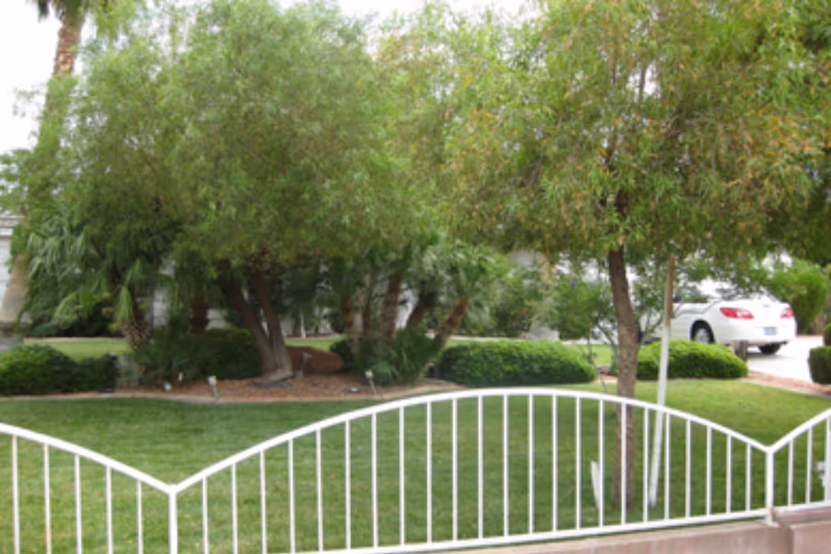 White decorative fence in a front yard with trees, shrubs, and a parked car.