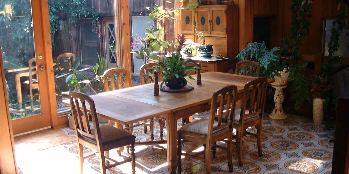 Wooden dining table with chairs, potted plants, and sunlight streaming through glass doors.