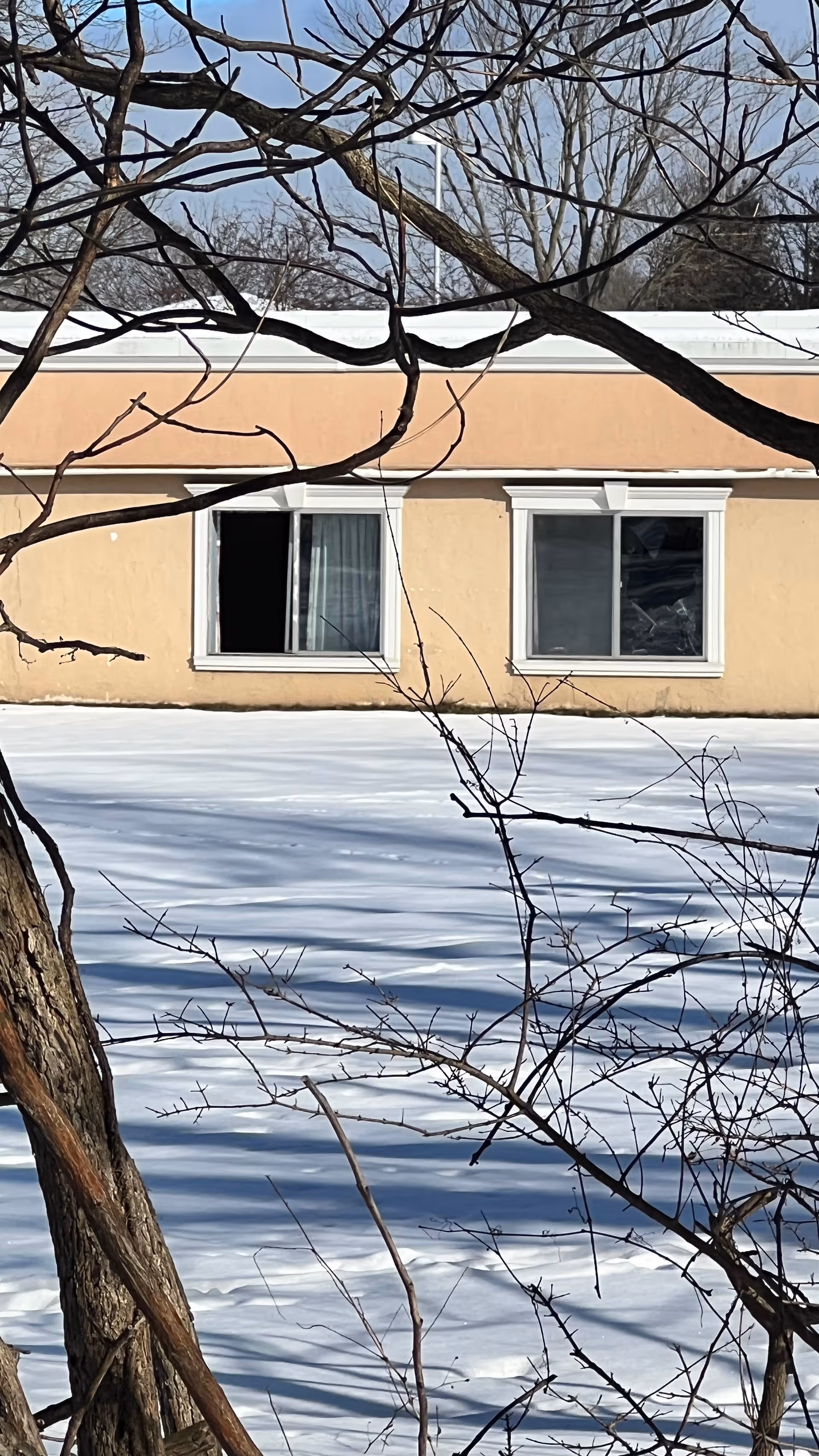 Exterior view of a peach-colored building with windows, snow on the ground, and bare trees.