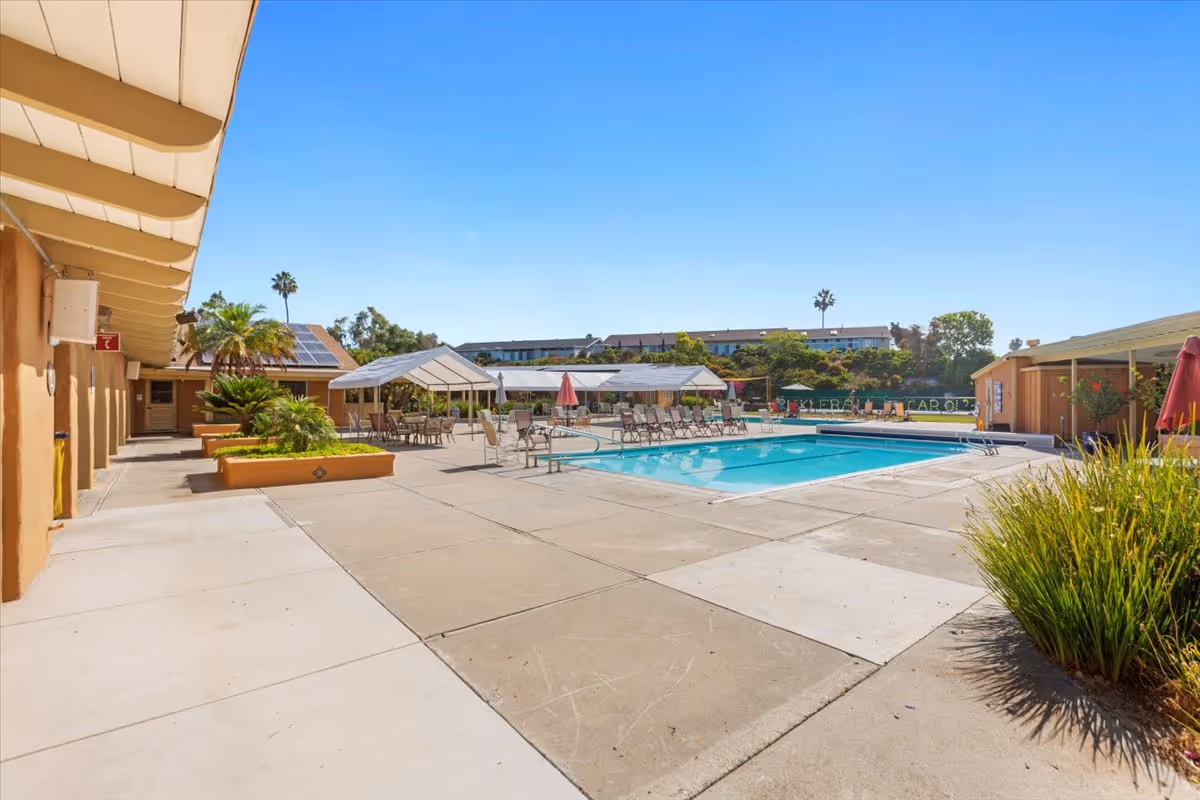 An outdoor pool area with lounge chairs and sun umbrellas surrounded by greenery.
