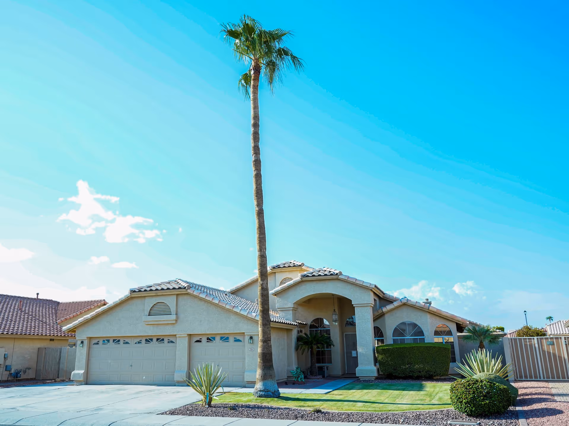 Front view of a single-story senior living center with a tall palm tree and driveway.