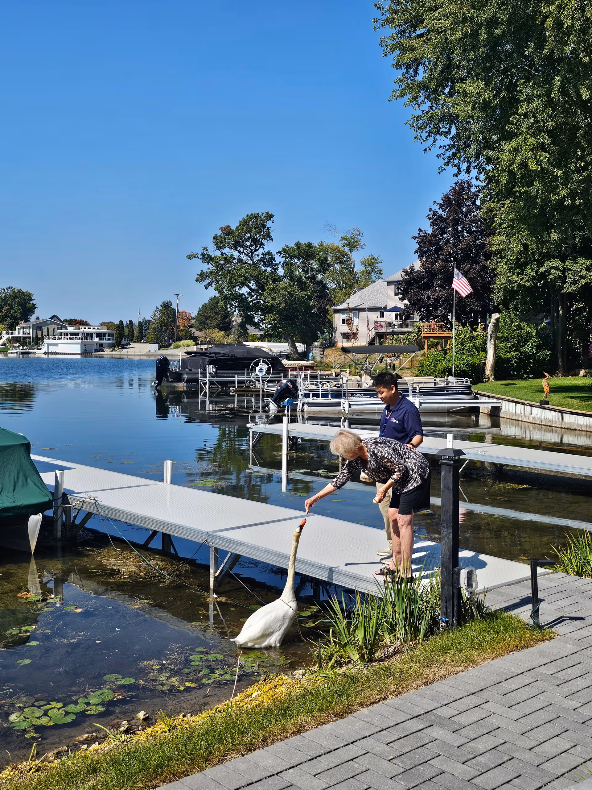 Elderly woman and caregiver feed a swan on a lakeside dock near boats.