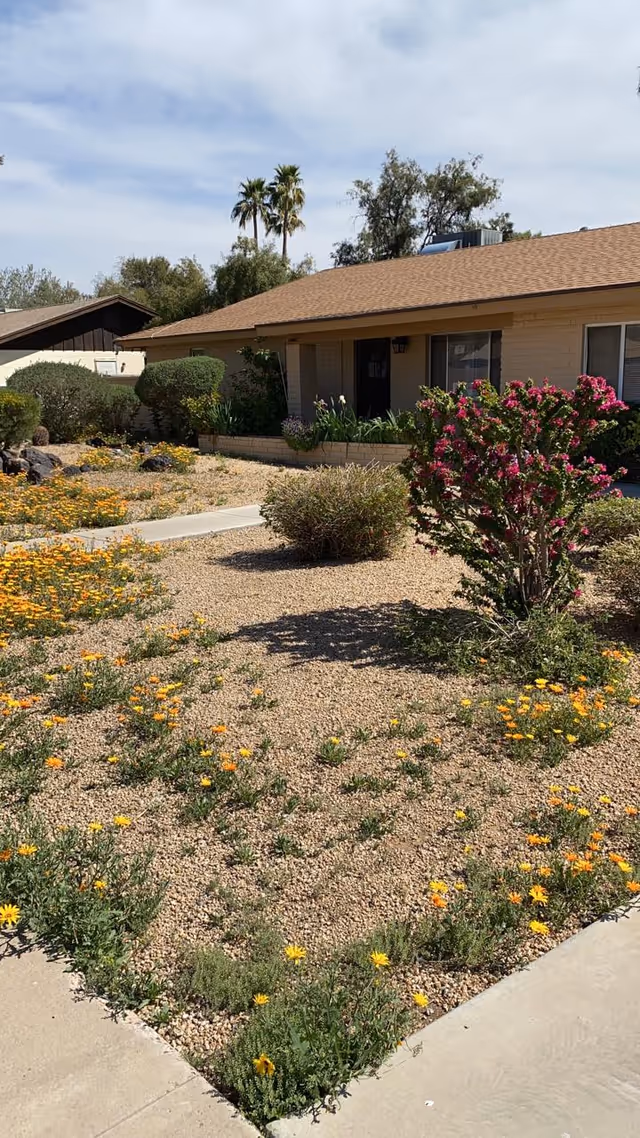 A single-story residential building with a brown shingled roof and beige brick exterior. The front yard is landscaped with gravel, small yellow flowers, bushes, and a flowering shrub with pink blossoms. There are palm trees and other greenery in the background under a partly cloudy sky.