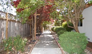 Outdoor walkway with trees, bushes, a fence, and a bench beside a light-colored building.