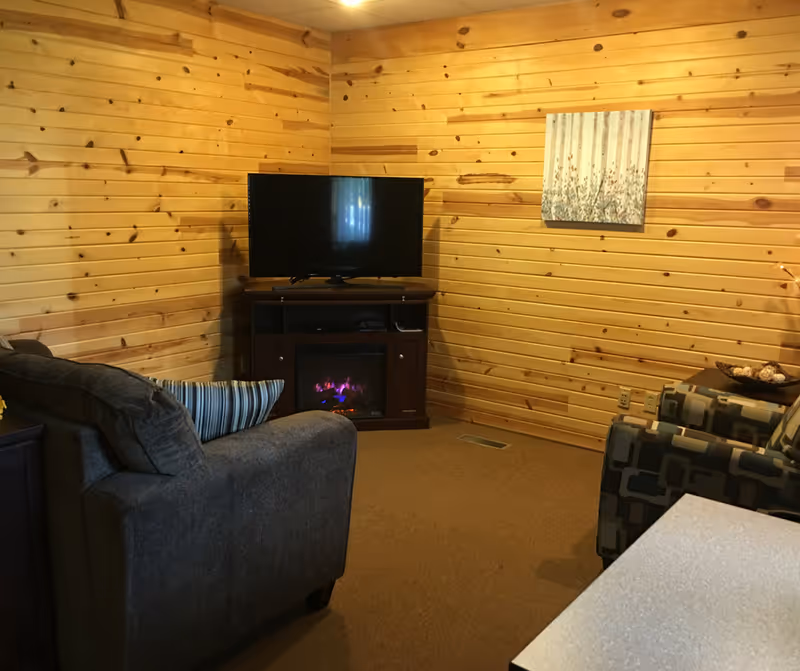 Cozy living room with wood-paneled walls, a TV, and an electric fireplace.