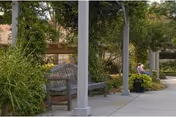 Shaded outdoor walkway with benches and greenery at Clairmont Oaks.