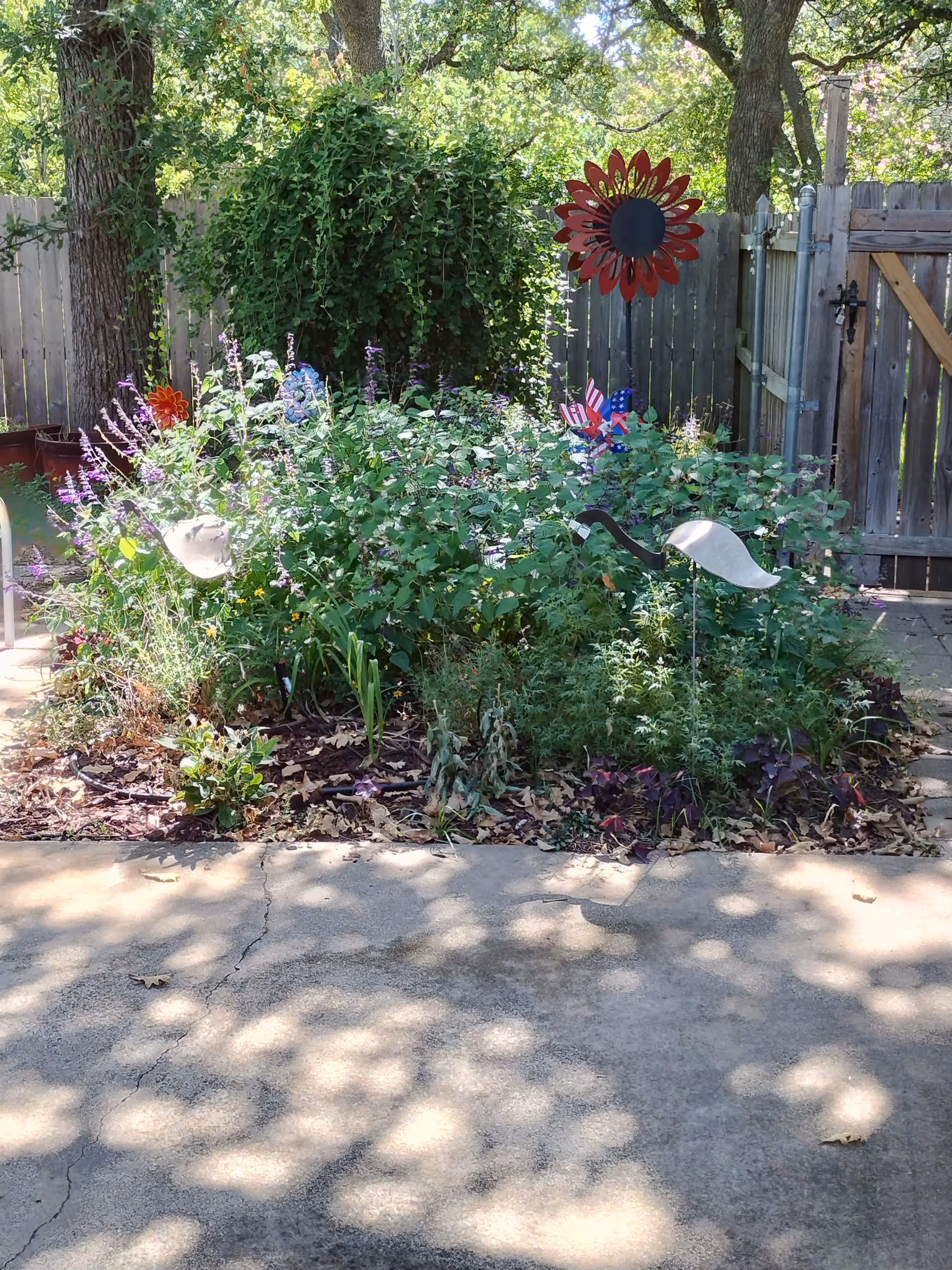 Outdoor garden bed with flowering plants and decorative yard ornaments behind a wooden fence.