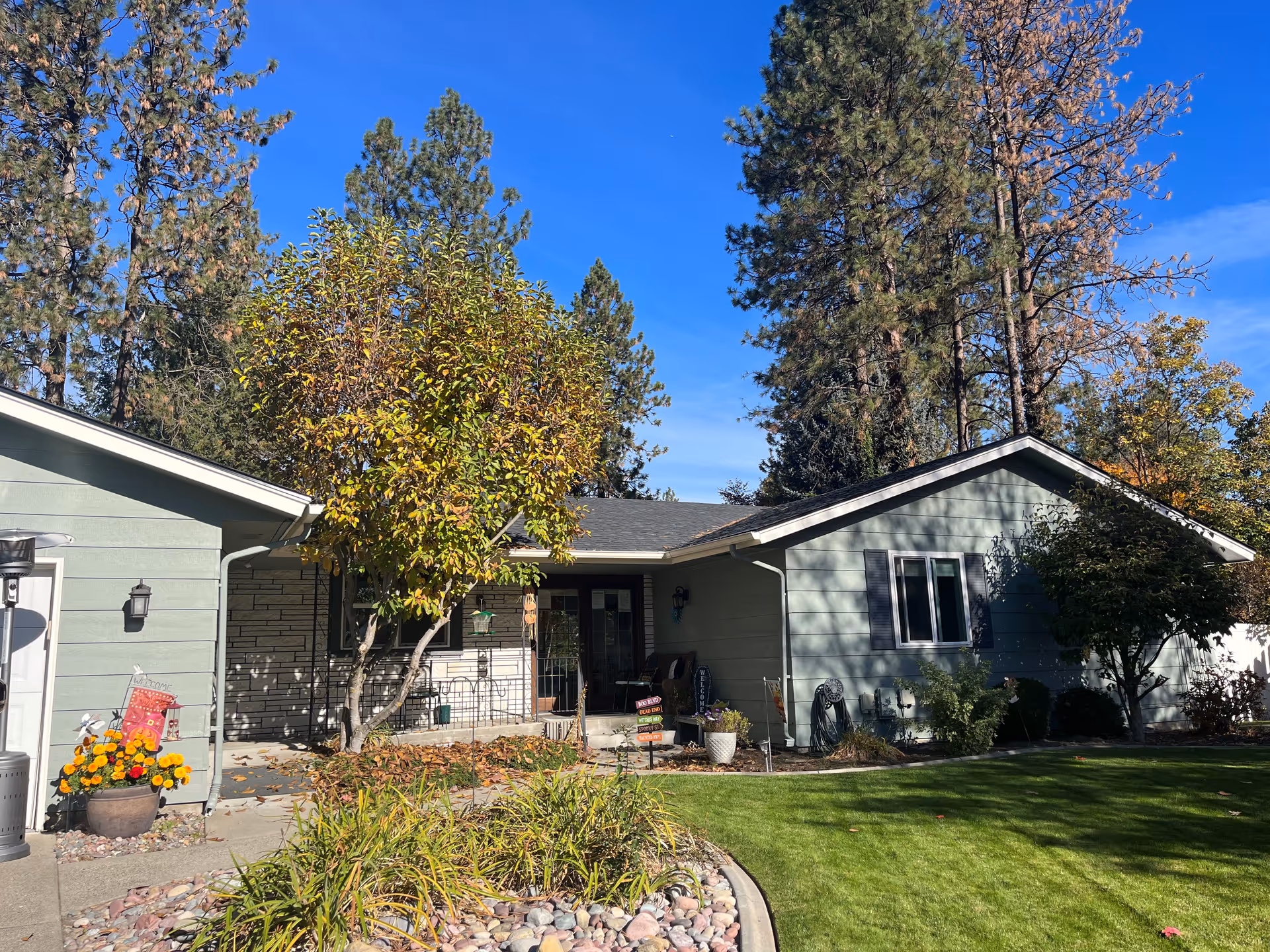 One-story green cottage with a manicured lawn, trees, and a small front porch.