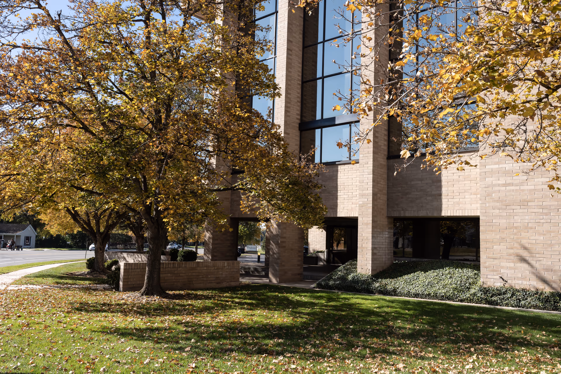 Brick building with large windows and autumn trees along a sunny walkway.