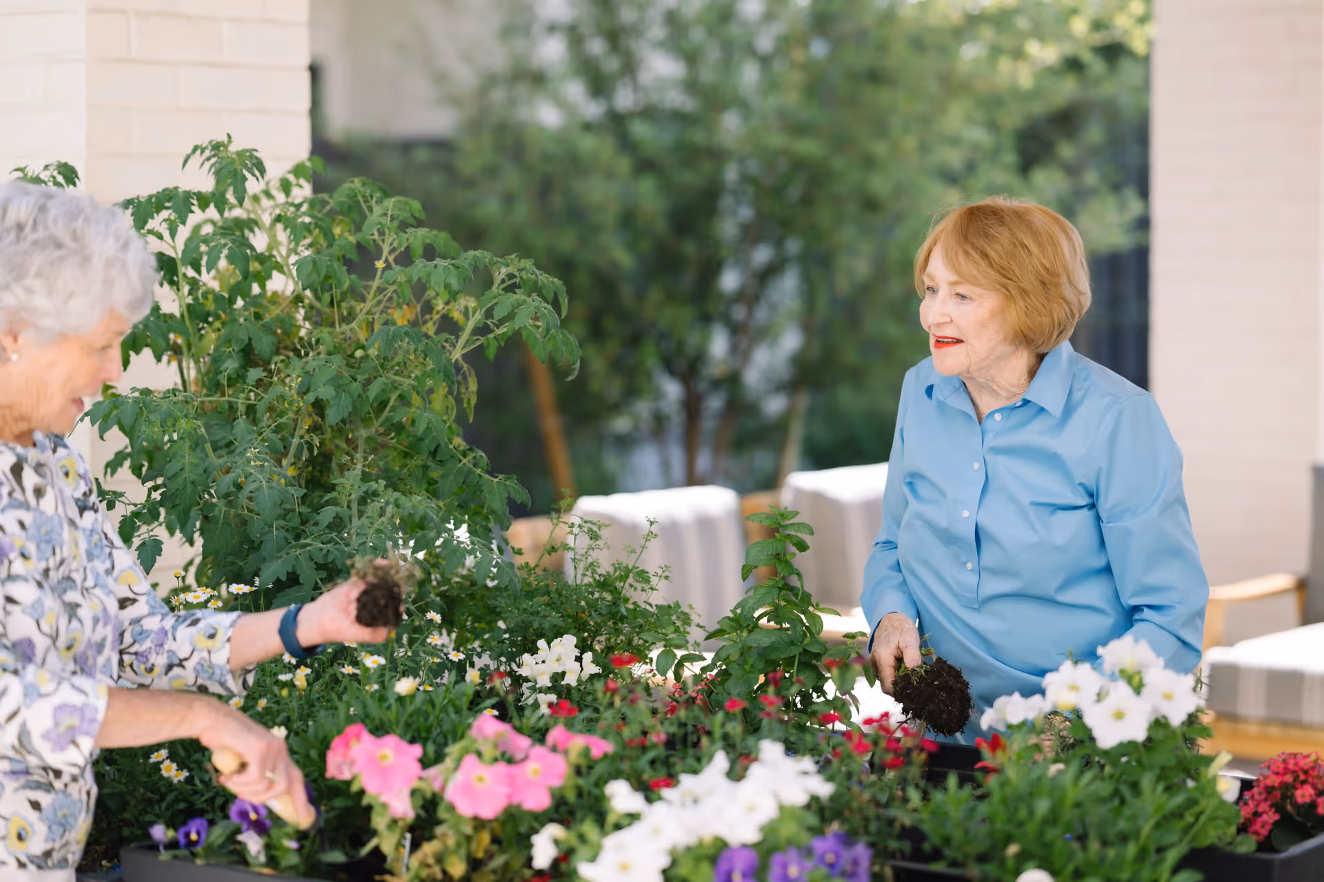 Two elderly women gardening together outdoors, holding plants with soil, surrounded by various colorful flowers and greenery.