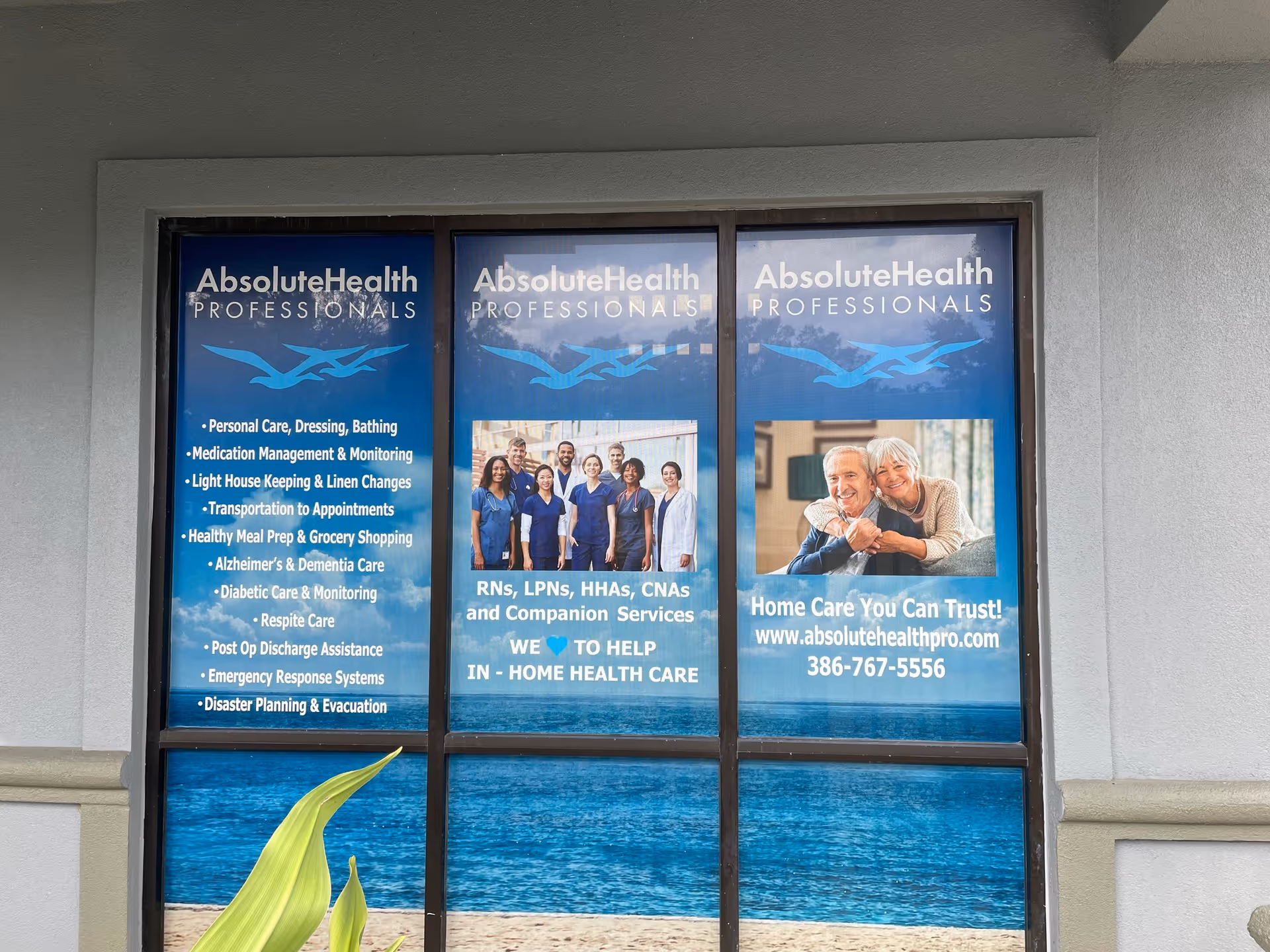 Blue Absolute Health Professionals banners displayed in a storefront window outside.