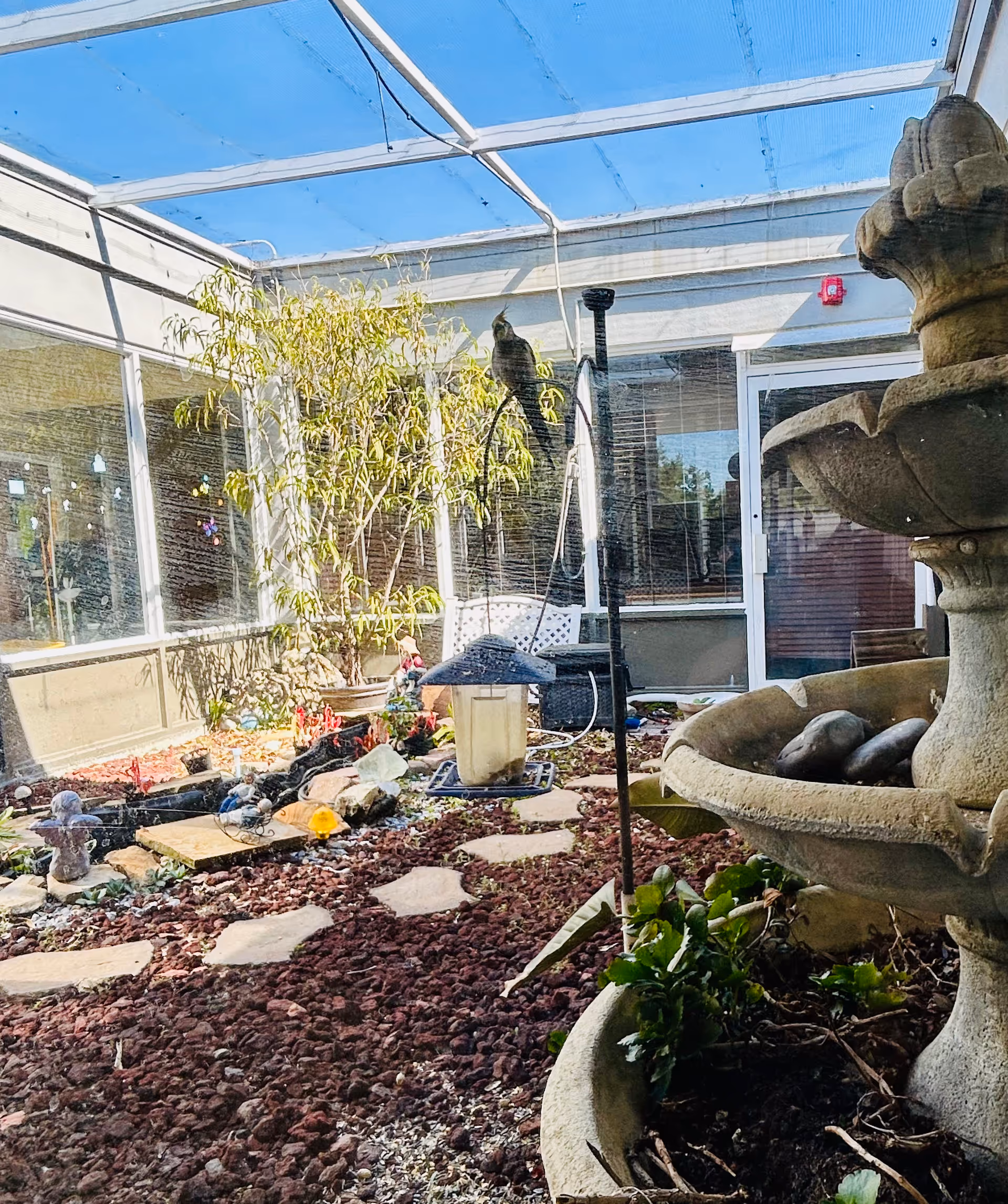 Sunlit glass-enclosed courtyard featuring a stone fountain, rocks, and potted plants.