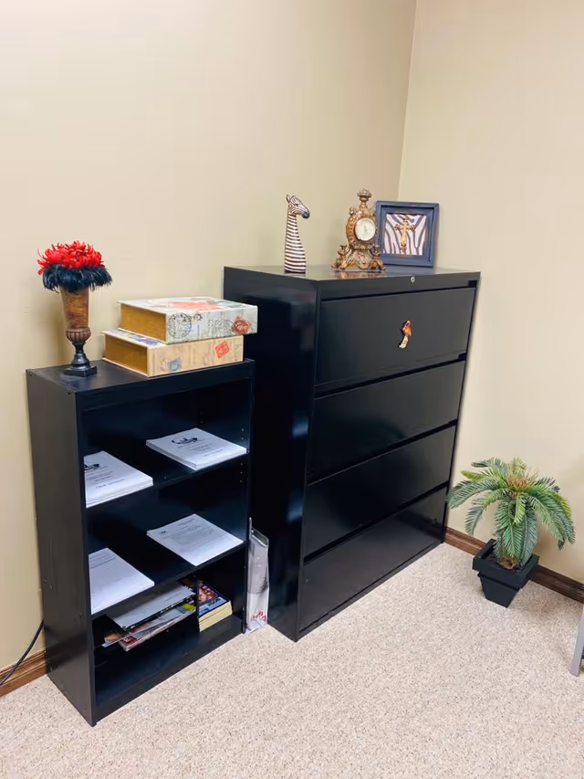 A corner with a black dresser, open-shelf unit, decorative items, and a potted plant.