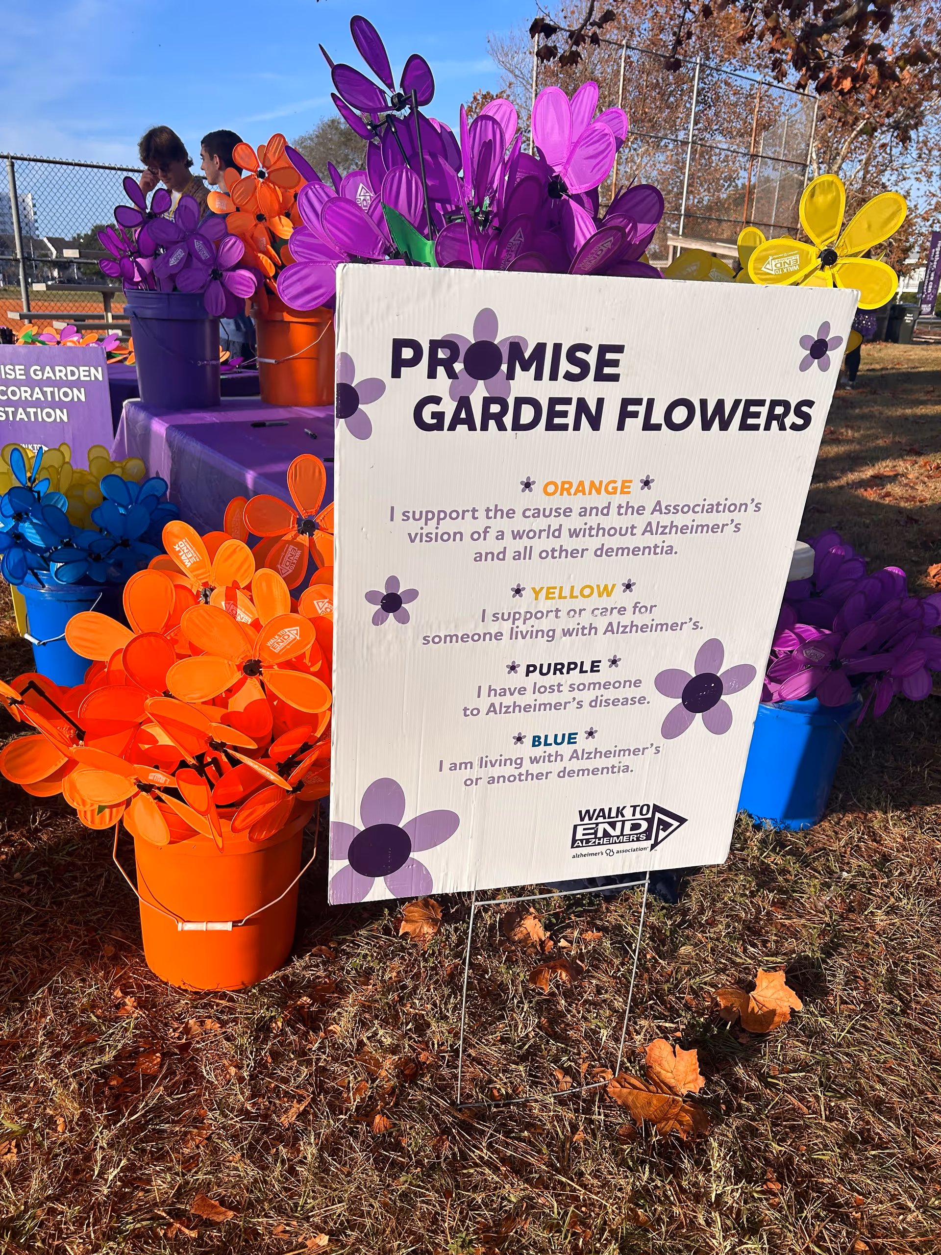 Outdoor display of colorful garden flowers in buckets beside an Alzheimer's awareness sign
