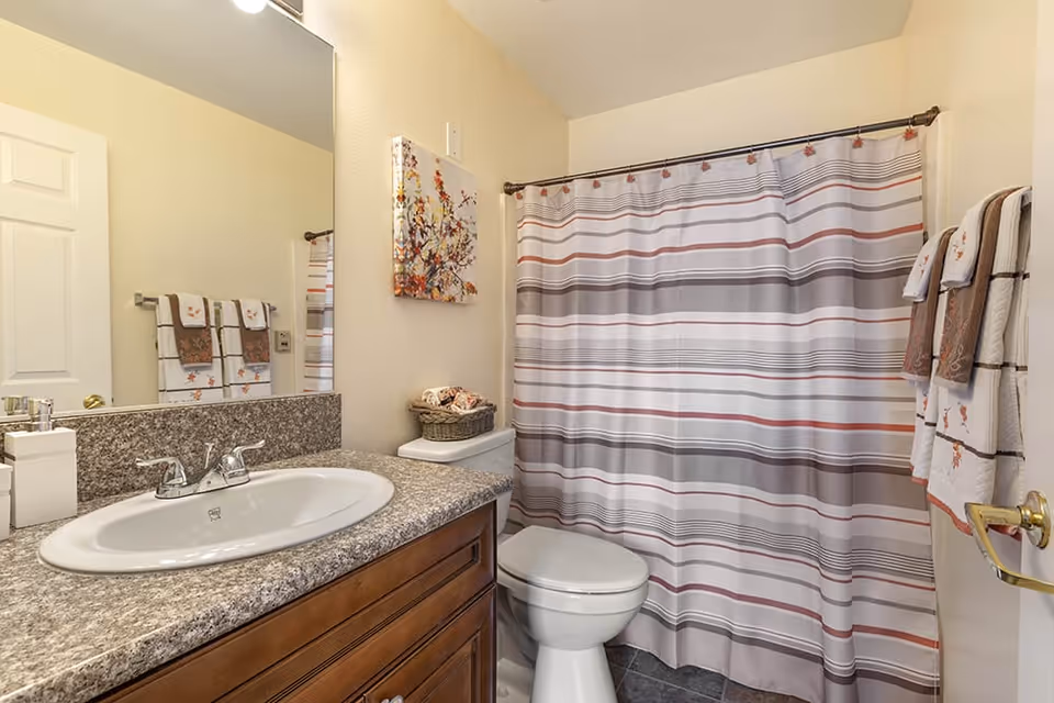 A clean bathroom featuring a granite countertop with a white sink and silver faucet, a large mirror above the sink, a toilet next to the countertop, and a shower with a striped curtain in shades of gray, white, and red. There are decorative towels hanging on the wall and a small basket with towels on top of the toilet tank. A floral painting is hung on the wall above the toilet.
