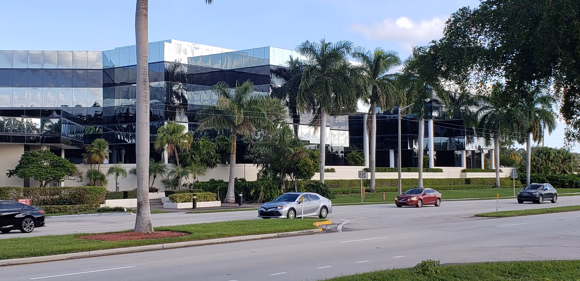 Exterior view of a modern glass-front facility with palm trees along a street.