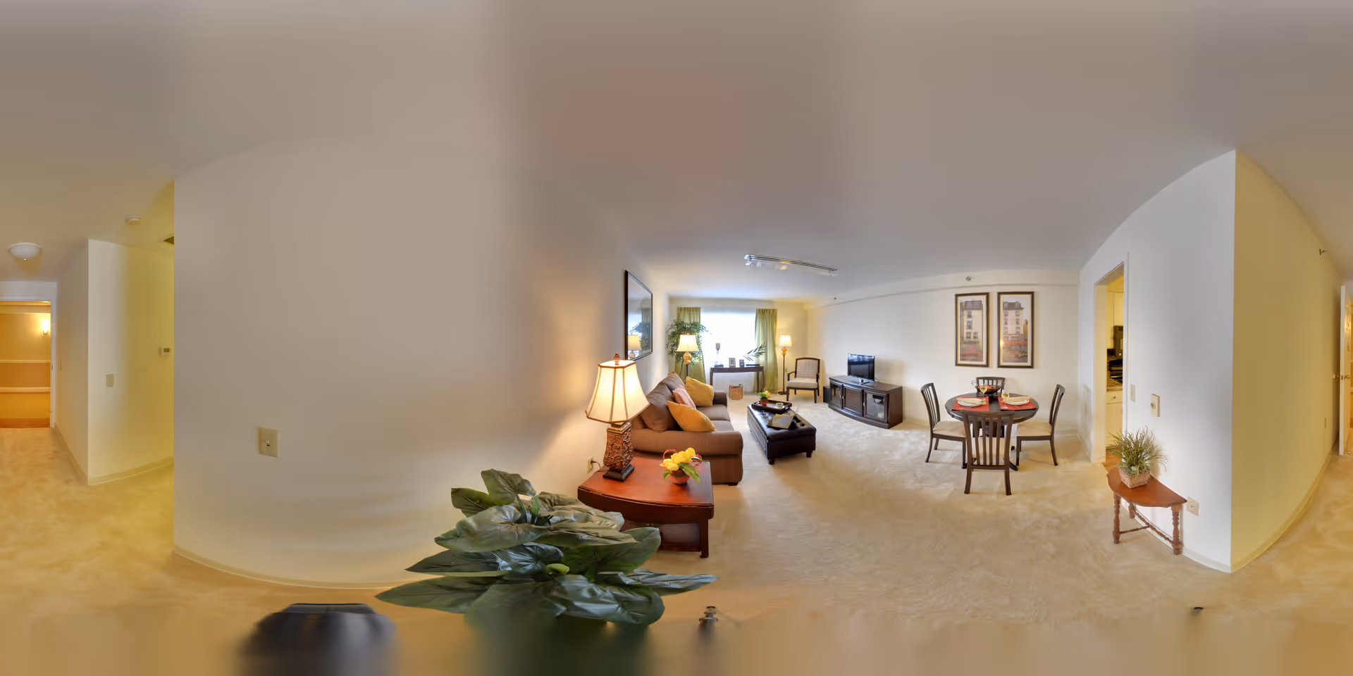 Bright open-plan living and dining area with a sofa, coffee table, television, dining table and houseplants.
