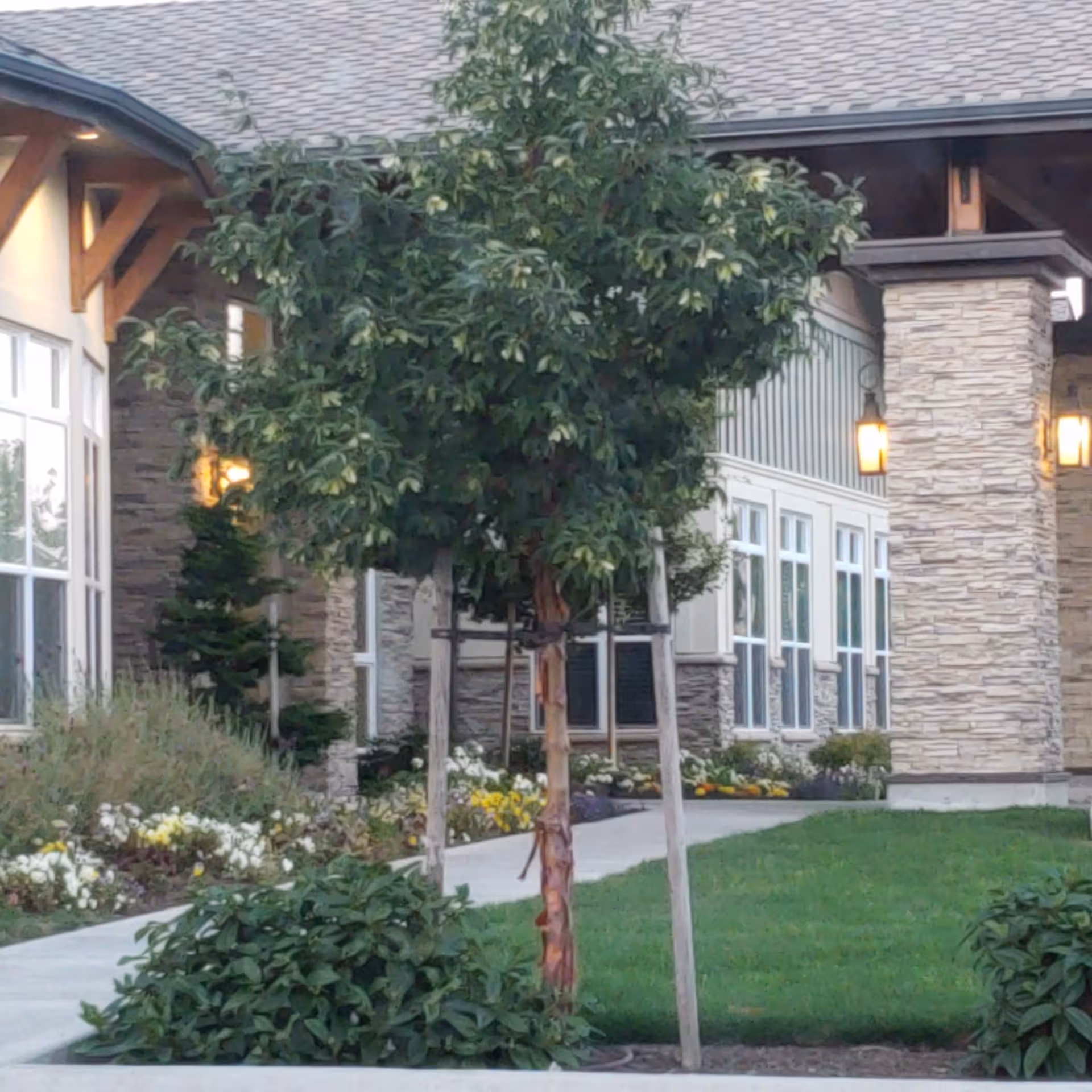 Front view of Silverado Bellingham Memory Care building with stone facade, trees, and walkway.