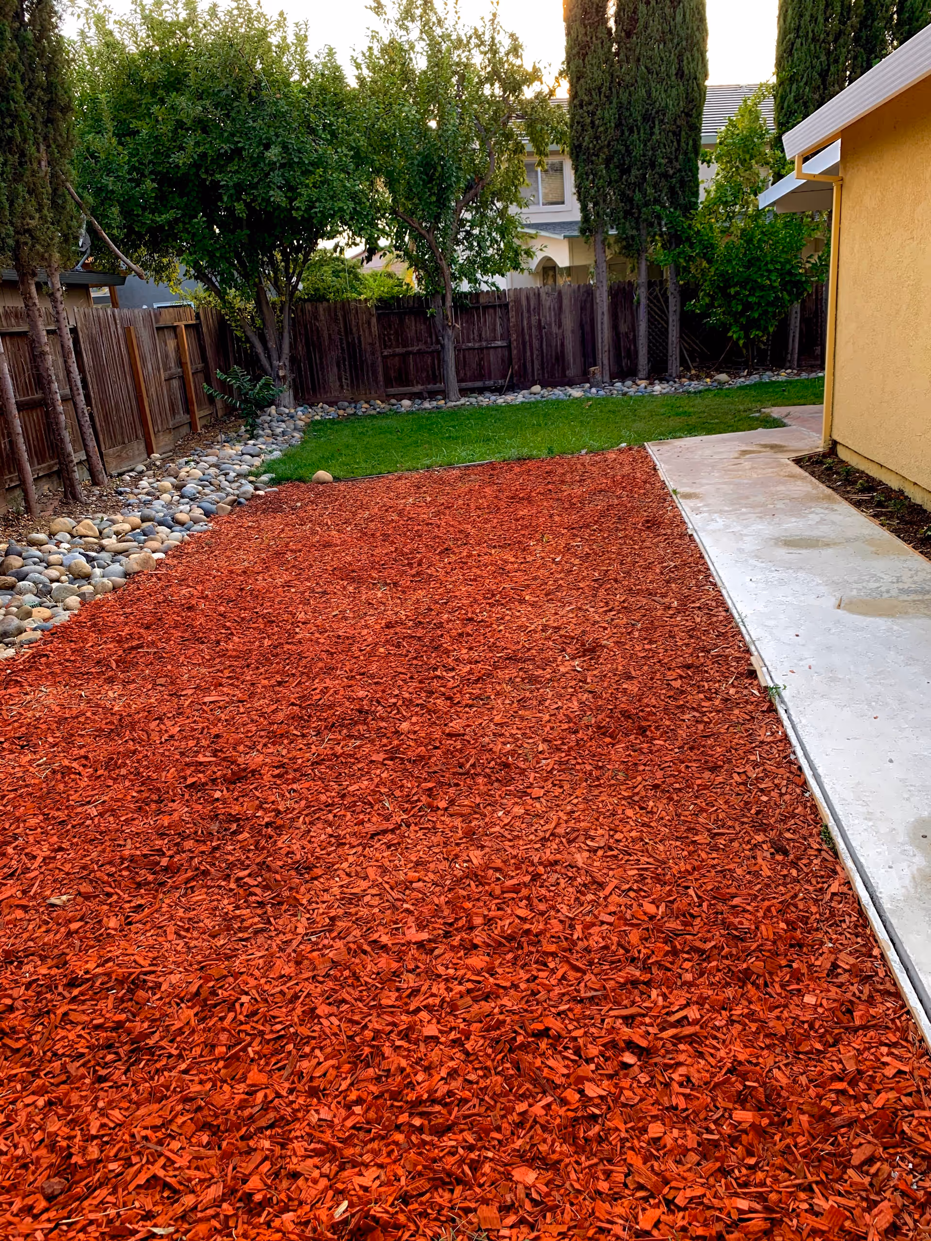 A backyard area with a section covered in red wood mulch, a small patch of green grass, a concrete pathway along the side of a yellow building, and a wooden fence with trees and shrubs along the perimeter.