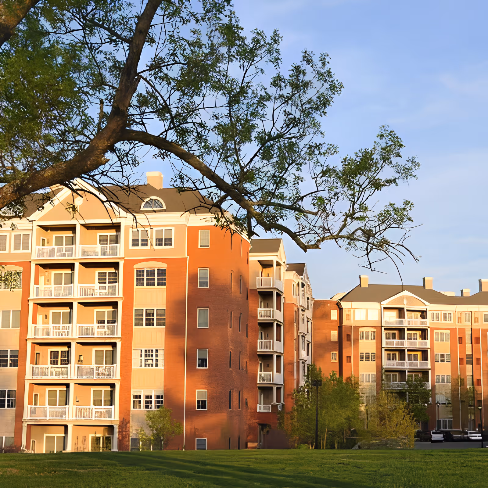 Multi-story red-brick residential building with balconies, a lawn and a large tree in the foreground.