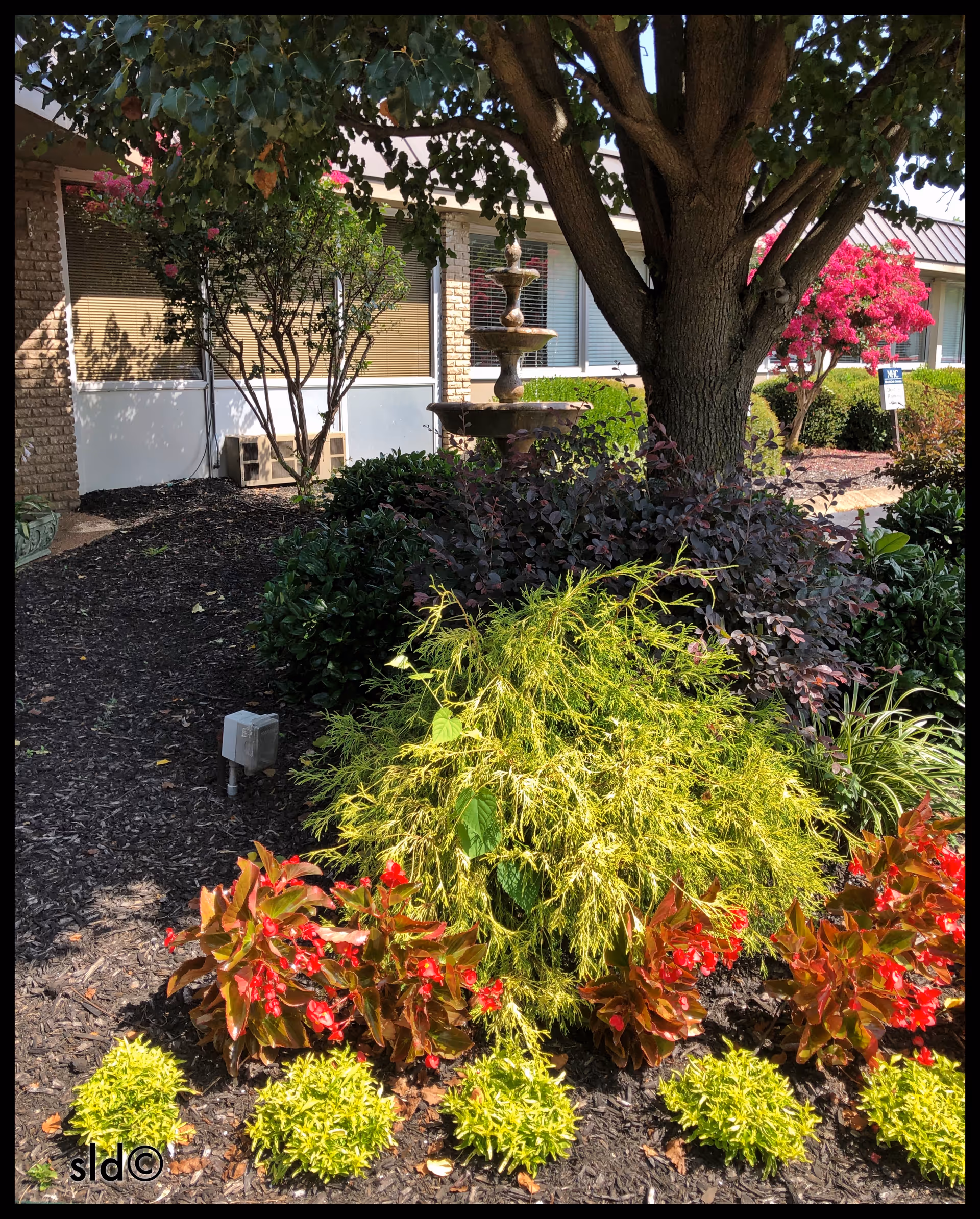 Lush outdoor landscaping with a tiered fountain near a building.