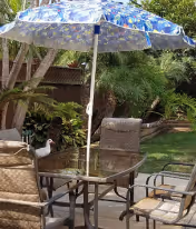 Outdoor patio with a glass-top dining table, umbrella and wicker chairs set beside a lawn and tropical plants with a white duck nearby.