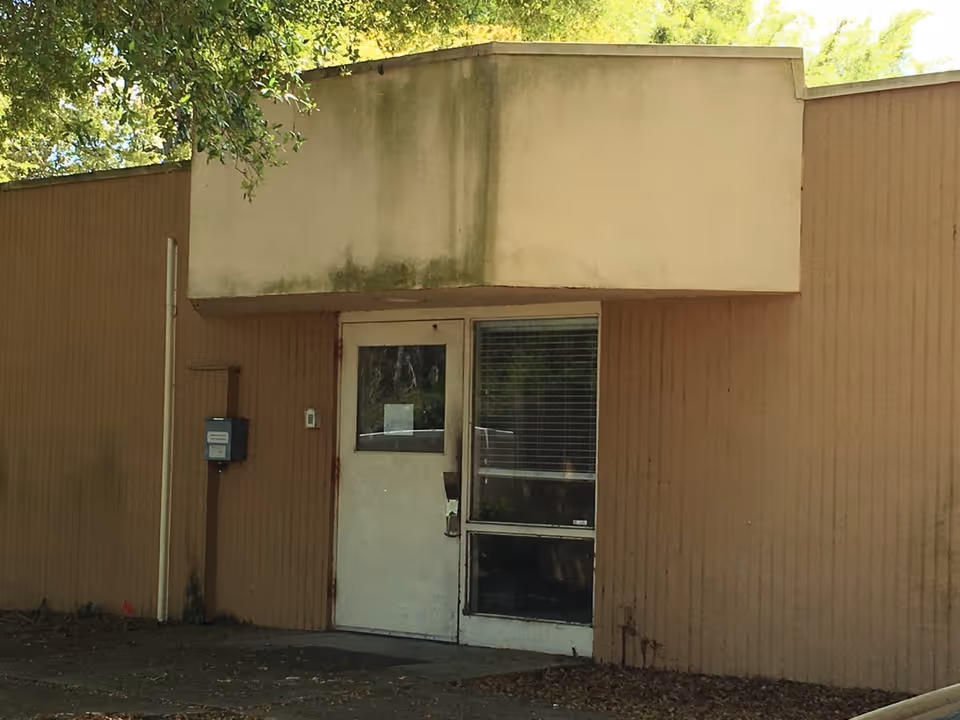 Exterior view of a beige building entrance with door and window, shaded by trees.