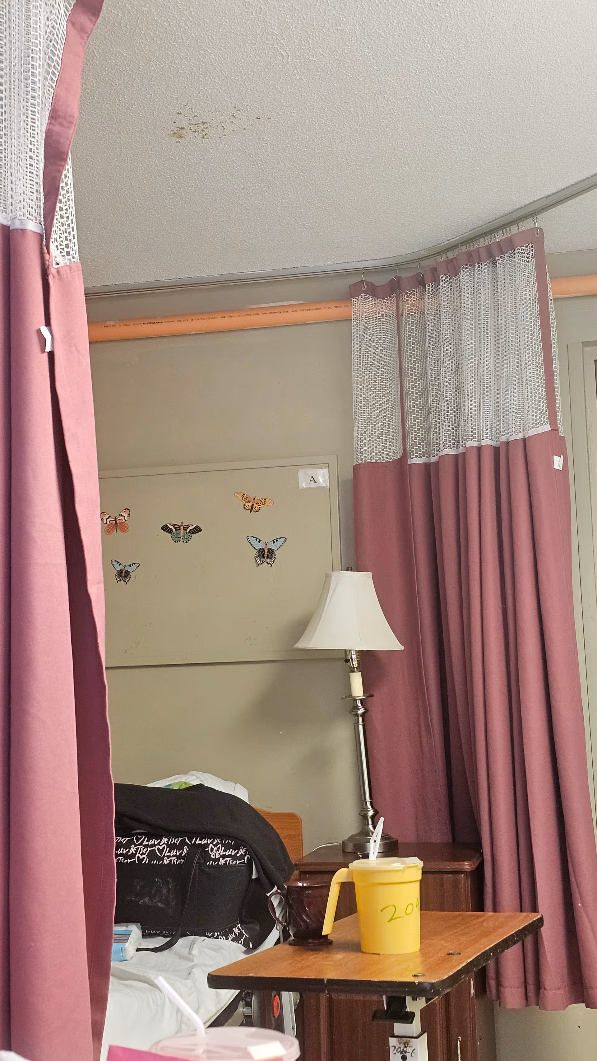 A hospital-style patient room with a bed, pink privacy curtains, lamp, and butterfly wall decor.