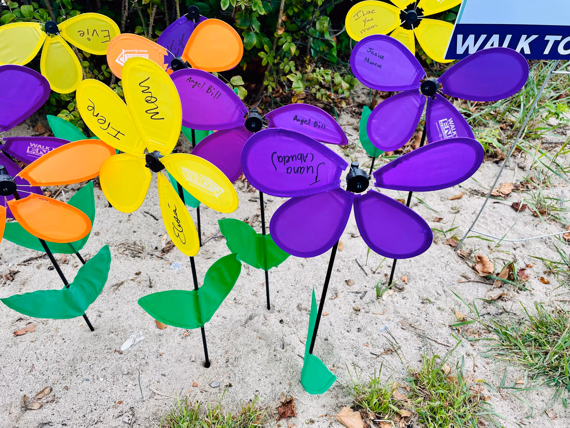 Colorful plastic pinwheels planted in a sandy outdoor area with sparse grass.