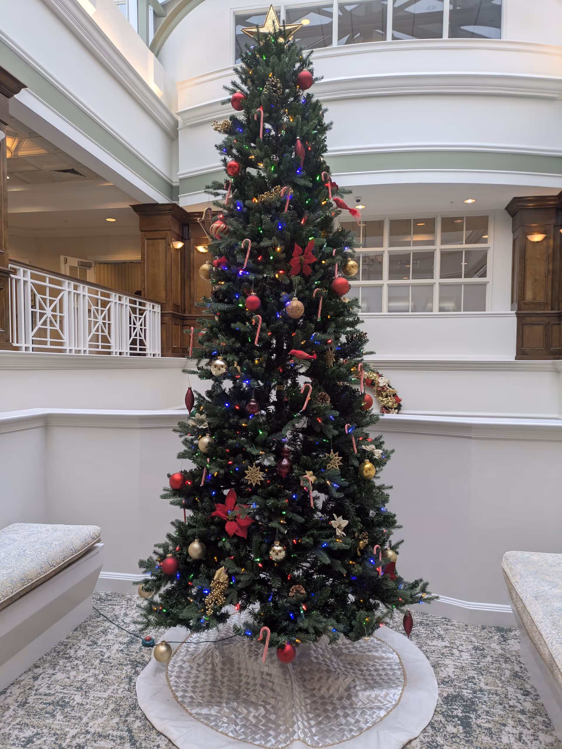 Tall Christmas tree with ornaments and candy canes in a bright indoor atrium.