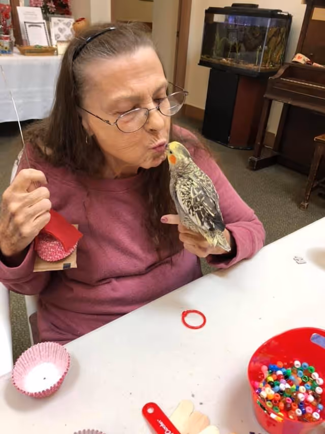 An elderly woman wearing glasses and a maroon sweater is sitting at a table, holding and gently kissing a small yellow and gray bird. On the table are craft supplies including colorful beads in a red container and pink cupcake liners. In the background, there is a fish tank and a piano.