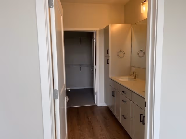 A bathroom vanity with sink, mirror, and cabinets opens into a walk-in closet with wood-look flooring.