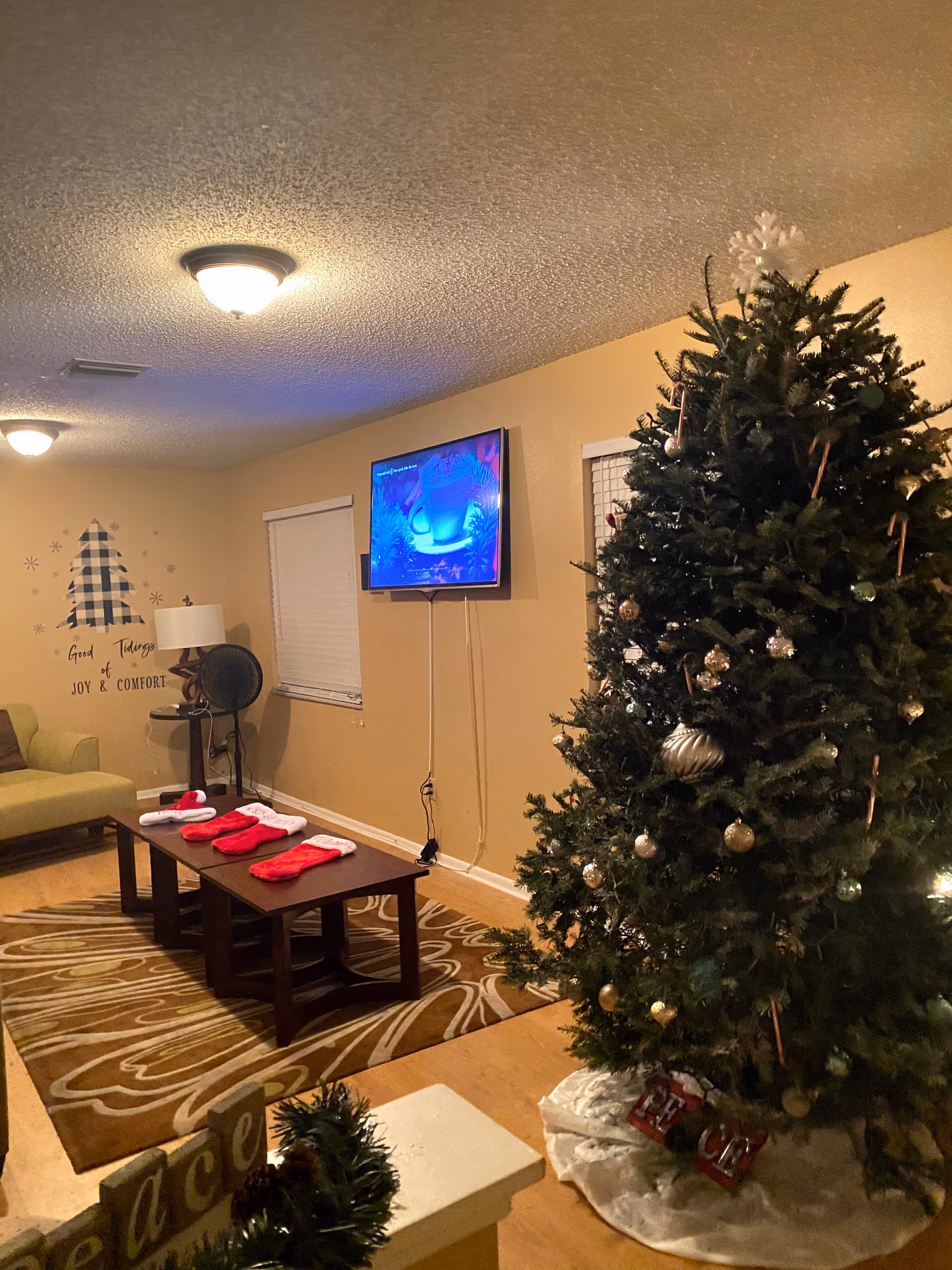 A cozy senior living common area with Christmas tree, rug, couch, and TV.