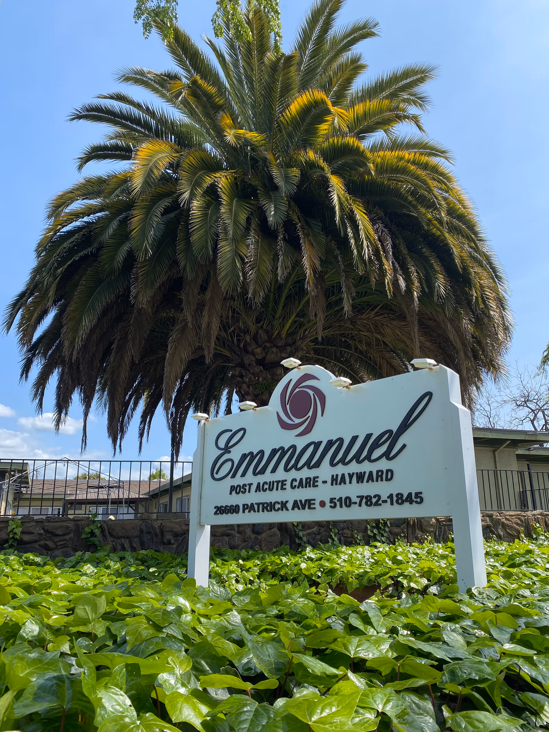 Palm tree behind a sign reading Emmanuel Post Acute Care in Hayward.