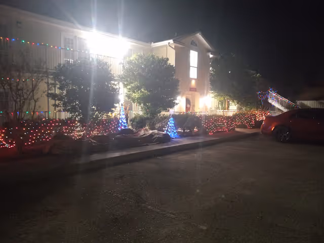 Night view of a building decorated with colorful Christmas lights along the bushes and trees in front. The building is illuminated by bright exterior lights, and a red car is parked on the right side of the image.