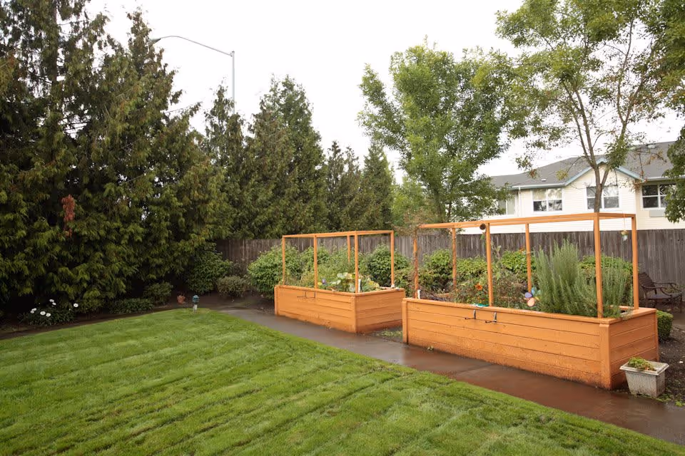 A well-maintained outdoor garden area with two raised wooden garden beds containing various plants and greenery. The garden beds are placed on a paved pathway next to a neatly trimmed lawn. Tall trees and a wooden fence surround the garden, with a residential building visible in the background.