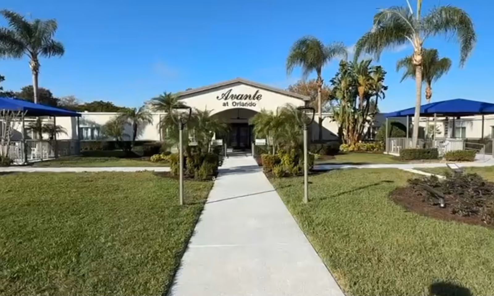 Front view of Avante at Orlando with walkway, palm trees, and blue sky.