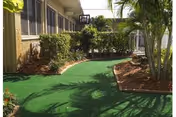Outdoor courtyard with green artificial turf, hedges, and palm trees beside a building.