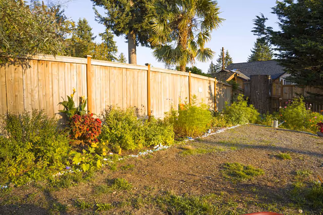 A fenced backyard garden with flowering plants, a palm tree, and a gravel path.