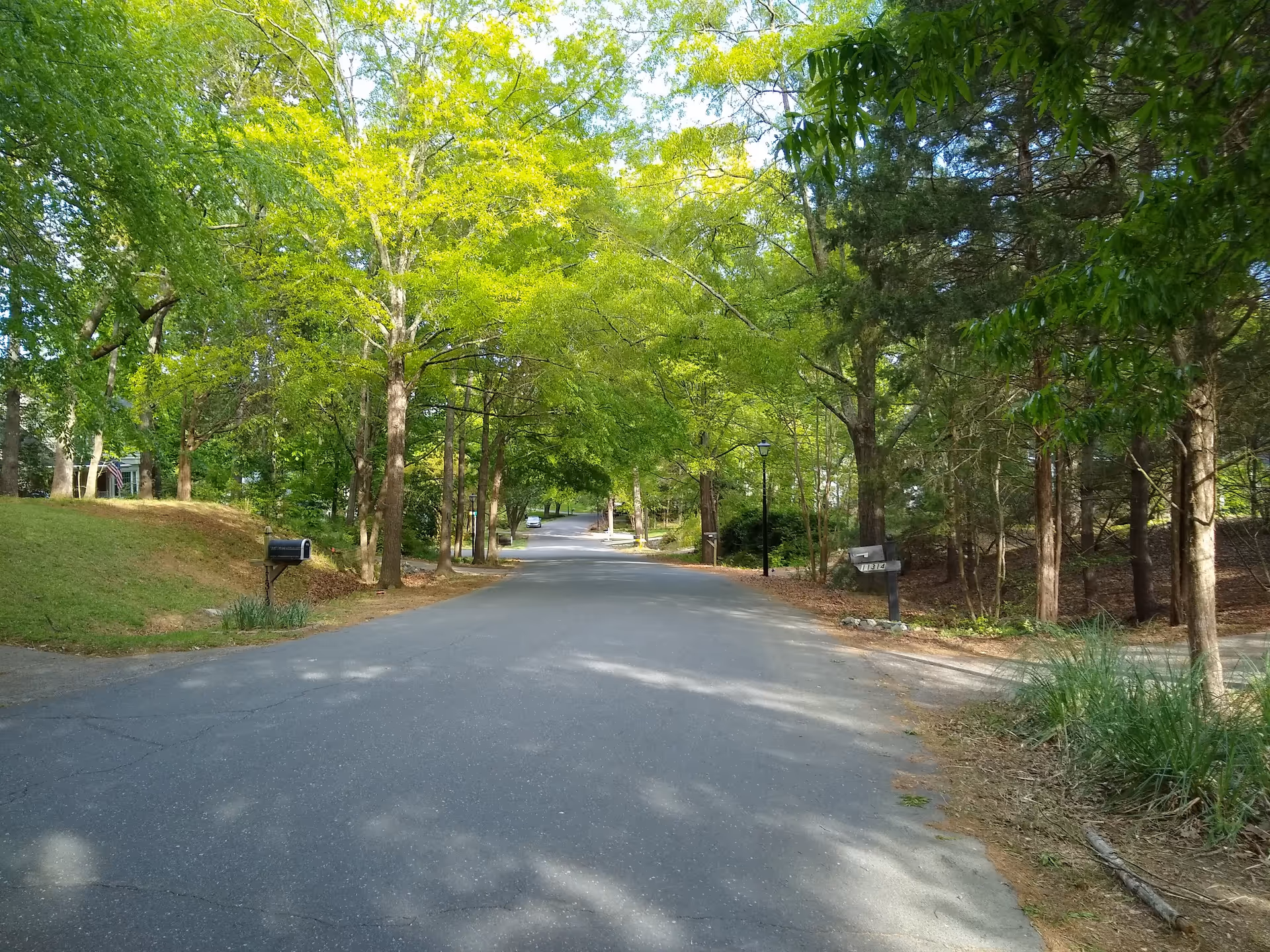 This sunlit, tree-lined residential road features mailboxes and lampposts.