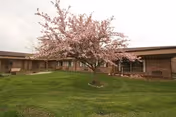 Brick exterior of a low senior living building with a blooming pink tree and green lawn.