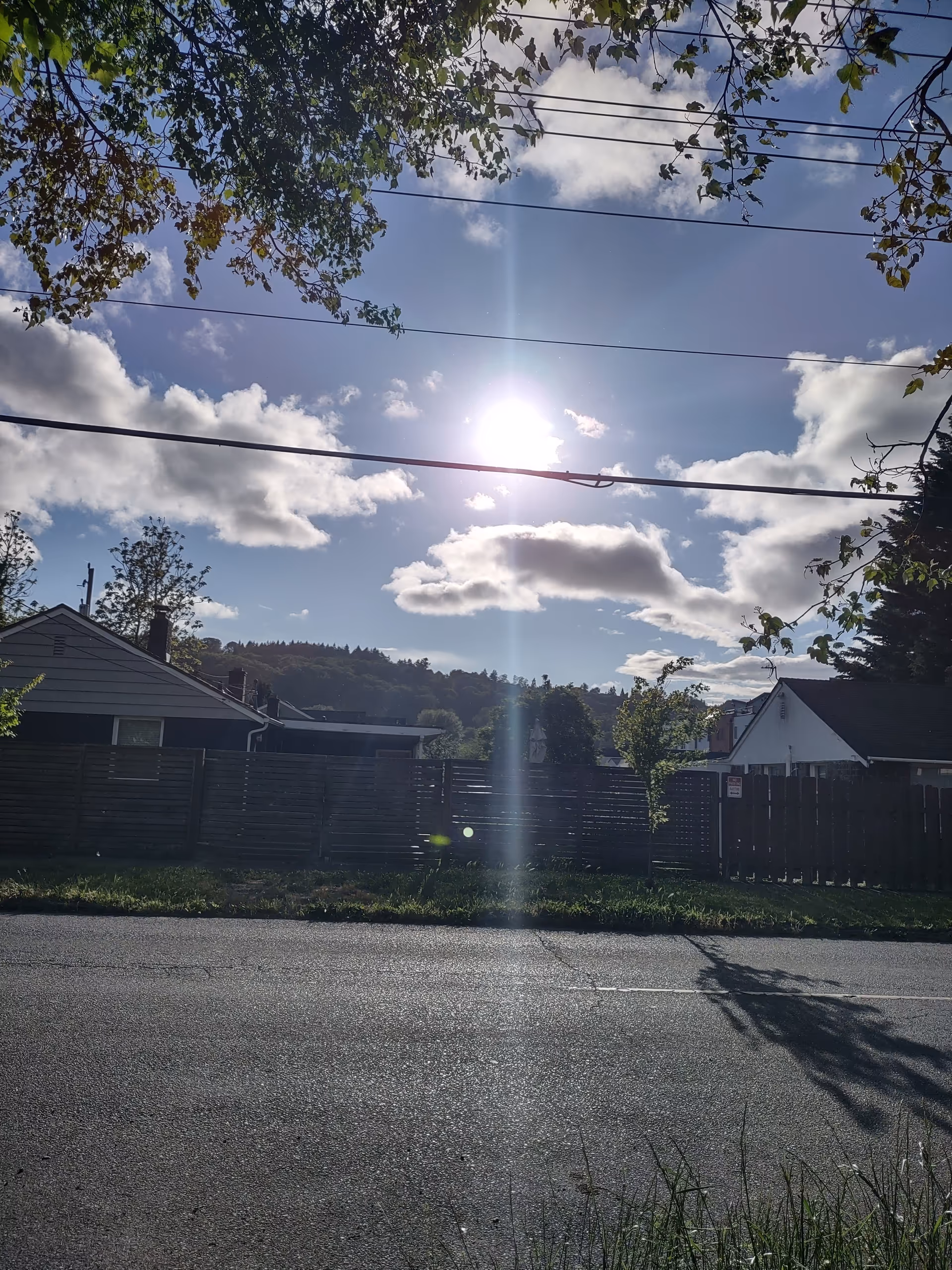 Bright outdoor street scene with a fence, power lines, trees, and houses.